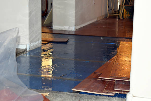 Professional Burst Pipe Cleanup technician working in Bristol, RI