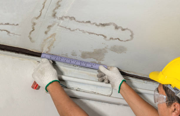 Reliable Burst Pipe Cleanup contractor in Bristol, RI by Local Water Damage Repair